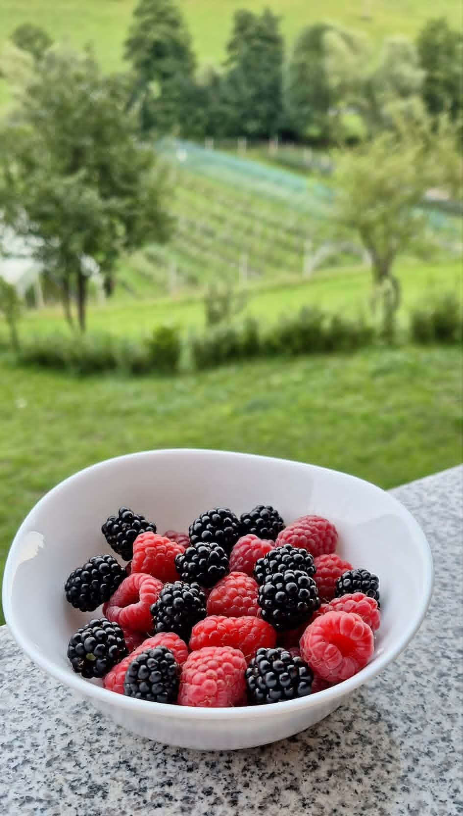 maline in robide